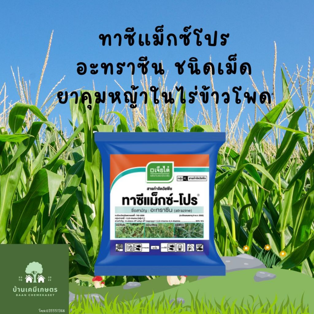 อาทราซีน 90% แบบเม็ด ทาซีแม็กซ์-โปร์ 900 กรัม ยาคุมหญ้าในไร่อ้อย ข้าวโพด ละลายง่าย