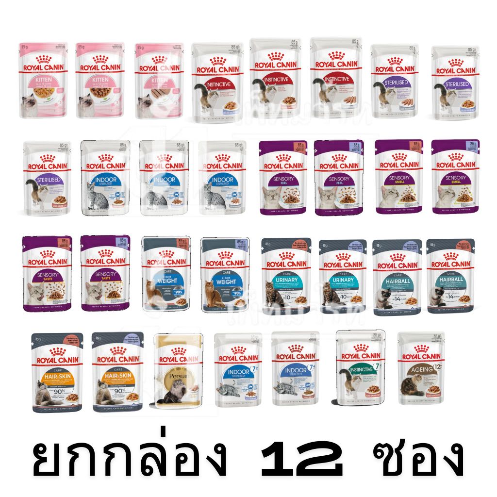 [ยกกล่อง 12 ซอง] Royal Canin Pouch อาหารเปียกแมว แมวเด็ก แมวโต ทุกสายพันธุ์ ขนาด 85 กรัมต่อซอง
