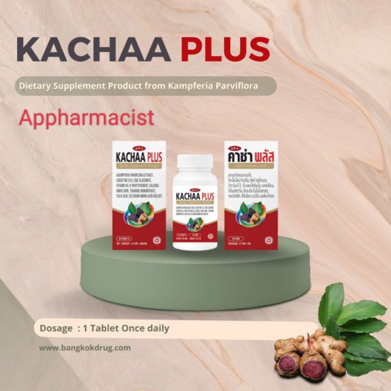 Kachaa-Nito กระชายดำ, Kachaa Plus แบบแผง 6แผงx10เม็ด/กล่อง