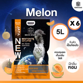 Meow Space ทรายแมวเบนโทไนท์ 5 ลิตร 6 ถุง รวม 30 ลิตร