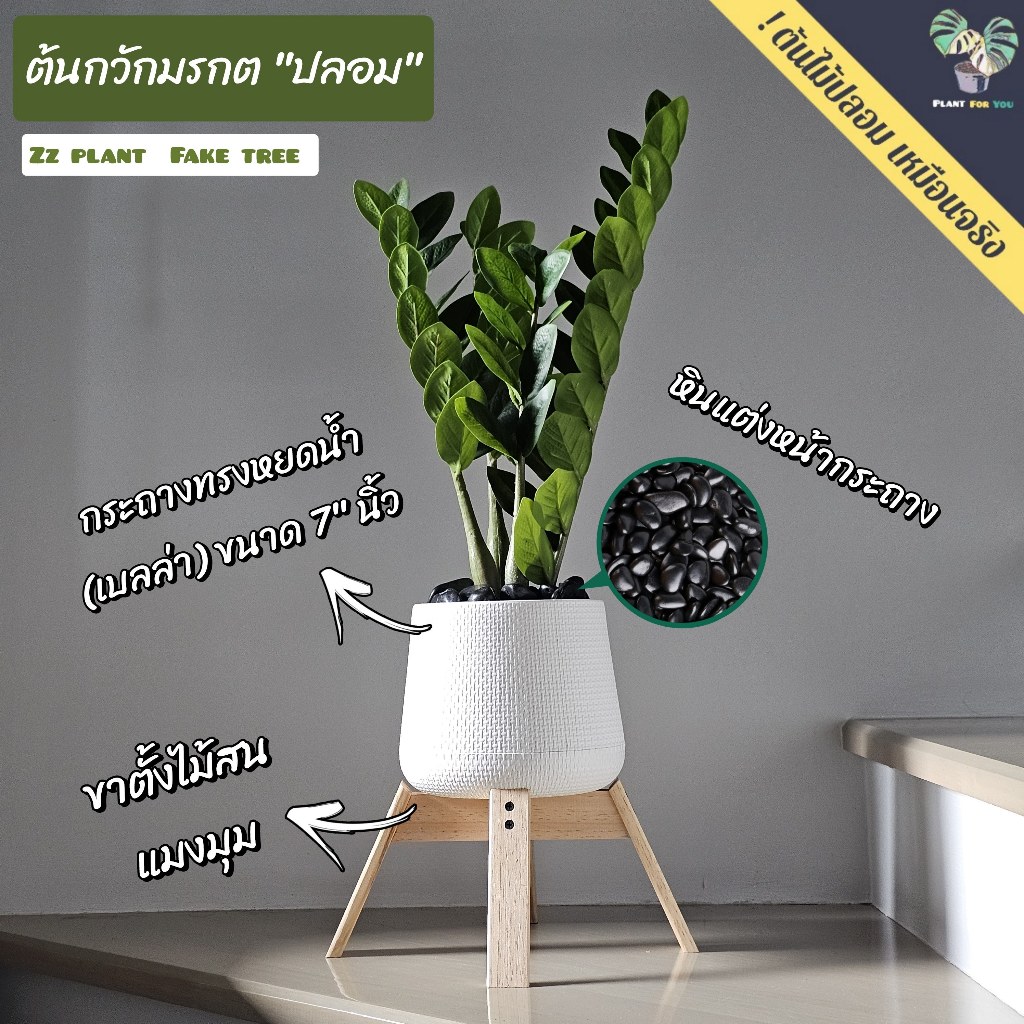 ต้นไม้ปลอม ต้นกวักมรกตปลอม 60 cm. พร้อมกระถาง+หินแต่งหน้ากระถาง+ขาตั้ง ครบชุดพร้อมโชว์
