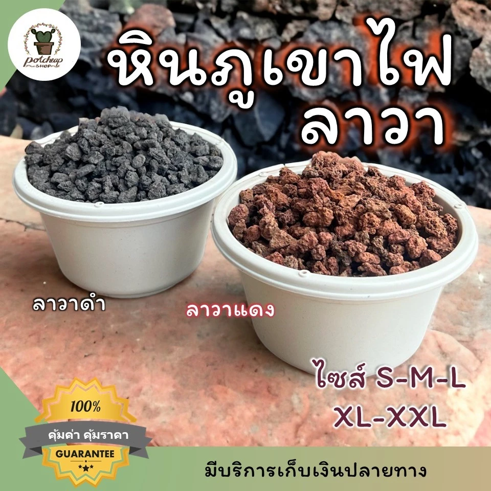 หินภูเขาไฟลาวา โรยหน้ากระถาง ผสมดินปลูกแคคตัส ไม้อวบน้ำ บอนไซ มีทั้งสีดำและสีแดง