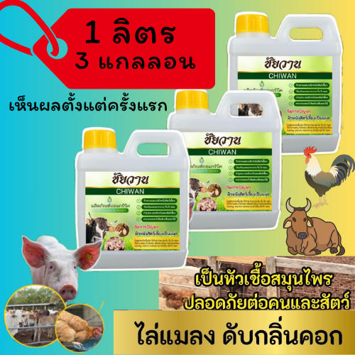 ชัยวาน ผลิตภัณฑ์ดูแลวัว ควาย ไก่ ไล่ยุง ไล่แมลง ดับกลิ่นในคอก บอกลาแมลงรบกวน ขนาด 1 ลิตร 3 แกลลอน ฟรีหัวฉีดฟ็อกกี้ 3ชิ้น