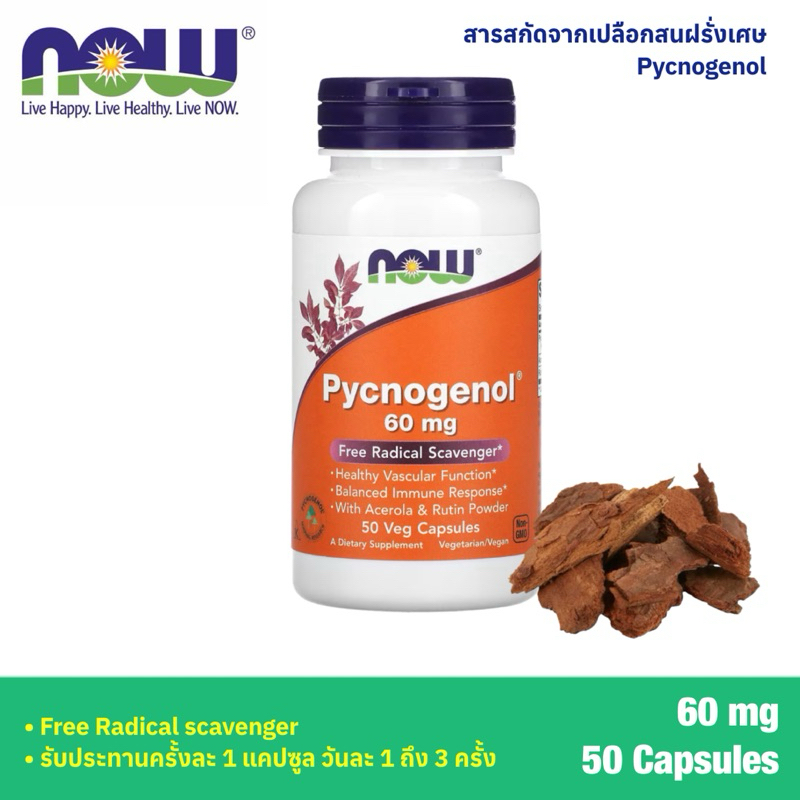 กินไม่ทัน ของแท้ไม่ได้แกะ  Now Foods พิกโนจีนอล Pycnogenol 60 mg 50 capsules สารสกัดจากเปลือกสนฝรั่ง