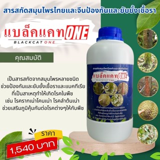 แบล็คแคทวัน BLACKCAT ONE สมุนไพรป้องกัน ยับยั้งเชื้อราและแบค…