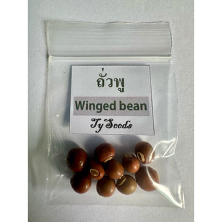 เมล็ดพันธุ์ ถั่วพู 10 เมล็ด [ 10แถม2 ]คละได้