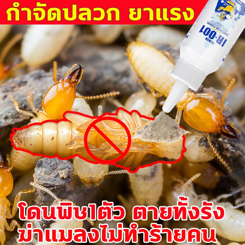 โดนพิษ1ตัว ตายทั้งรัง ฆ่าปลวกตายยกรัง ฆ่าแมลงไม่ทำร้ายคน อาหารปลวก ยาปลวก กำจัดปลวก เหยื่อปลวก ยากำจัดปลวก ยาฆ่าปลวก