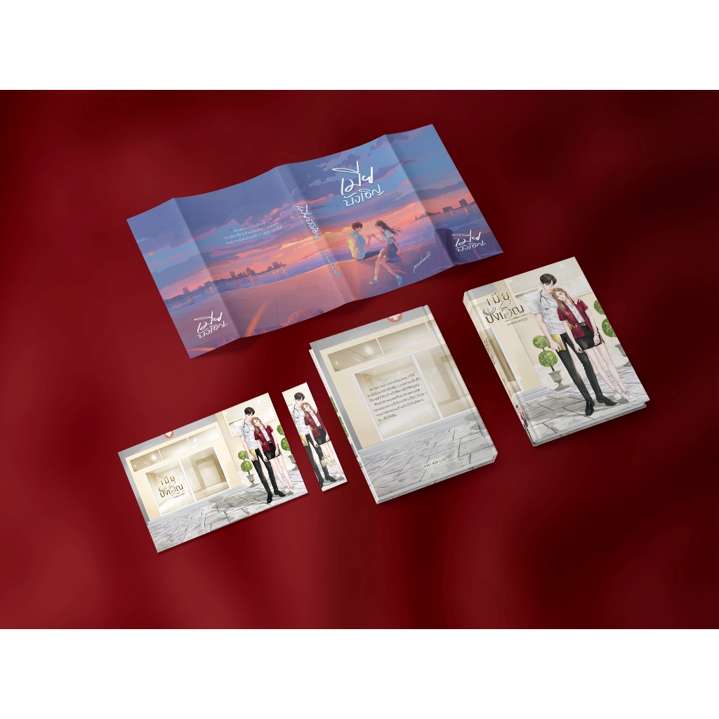 หนังสือนิยาย เมียบังเอิญ แต่งโดย กาแฟหอมกรุ่น - รูปที่ 2