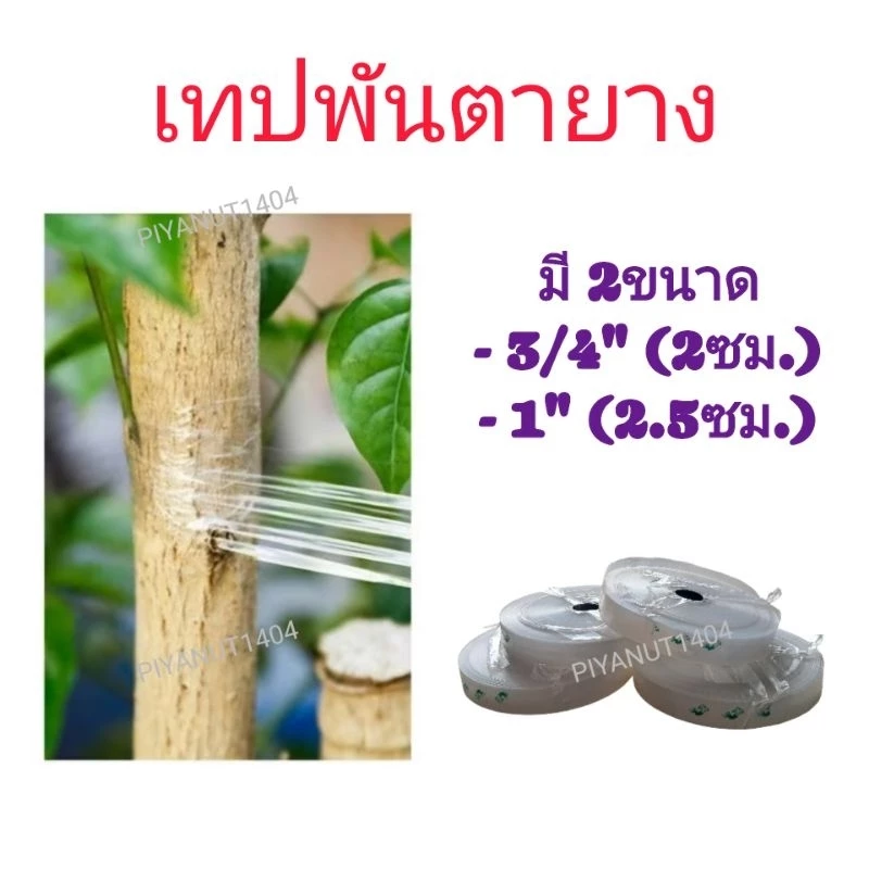 (ราคาโรงงาน) เทปพันตายาง ตรานางเงือก (1ม้วน) ใช้สำหรับติดตา พันกิ่ง ขยายพันธุ์พืช