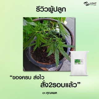 ดินปลูกสูตรทำใบ&ช่อดอก กัญชา 420 planting soil ออแกนิค มีใบรับรองตรวจสารปนเปื้อน แนะนำฟรี