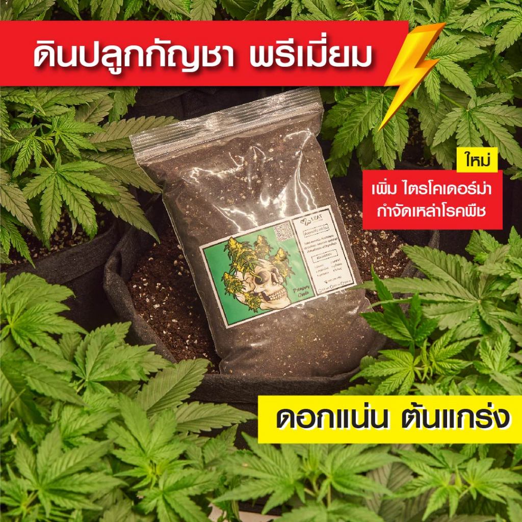 ดินปลูกสูตรทำใบและช่อดอก พรีเมี่ยม⚡️ กัญชา 420 premium soil ออแกนิค แนะนำฟรี