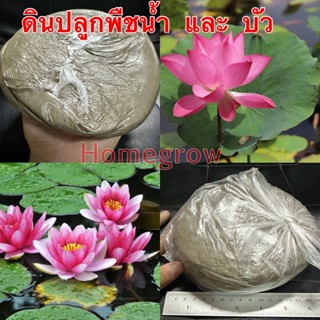 ดินปลูกบัว ดินบัว ดินไม้น้ำ ใหญ่มาก สุดคุ้ม