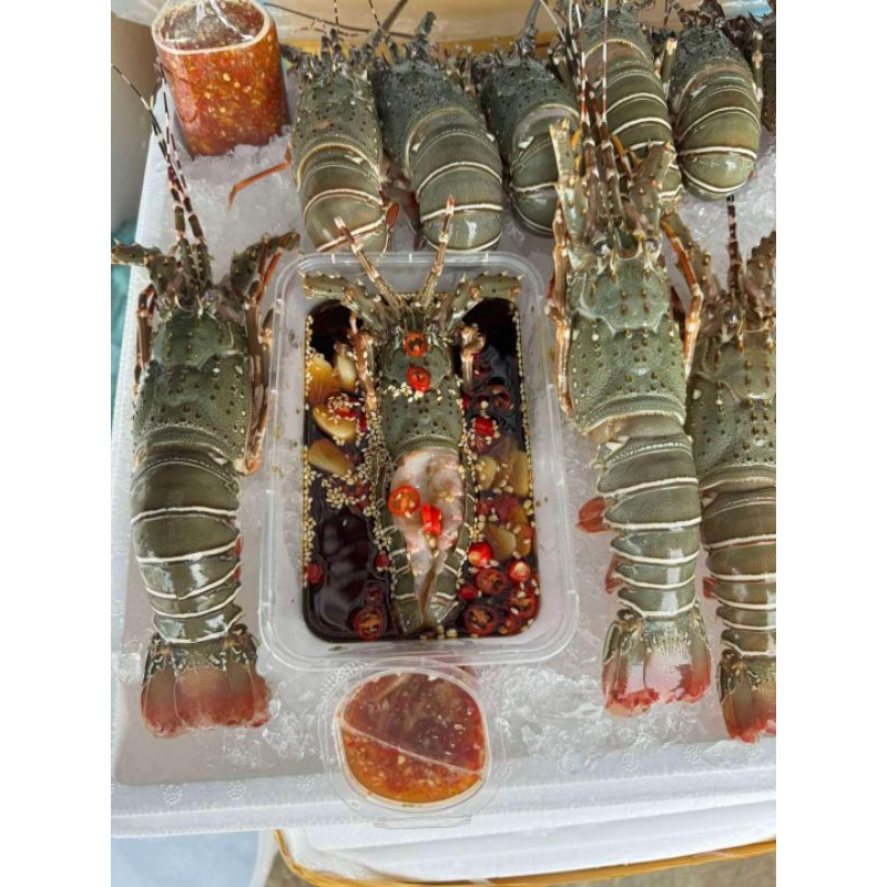 กุ้งมังกรดองซีอิ๊ว ใช้กุ้งไซส์1-2ขีดต่อตัว น้ำดองซอสญี่ปุ่นสูตรพิเศษ พร้อมพริกกระเทียมและน้ำจิ้มซีฟู้ด