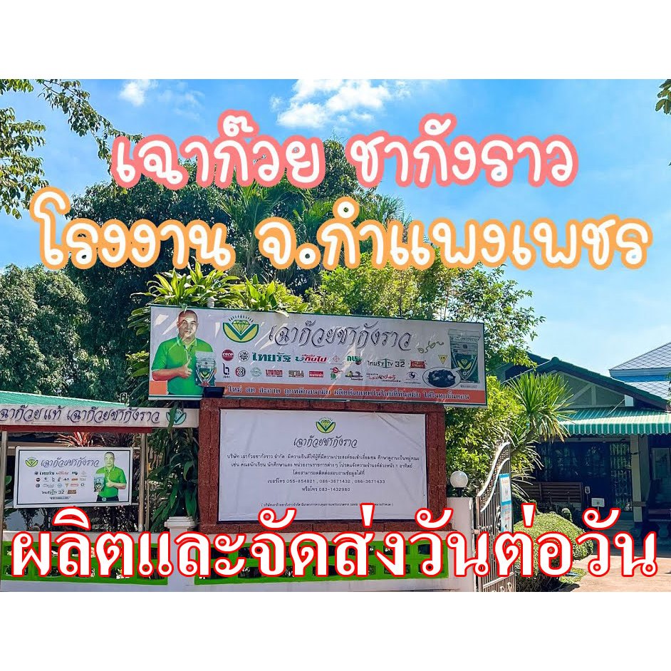 [ส่งออกภายใน 48 ชม]เฉาก๊วย 1 แพ็ค 10 ถุงเล็ก เฉาก๊วยชากังราว กำแพงเพชร ส่งด่วน บริการติดตามพัสดุให้ลูกค้าได้รับ - รูปที่ 3