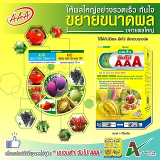 ปุ๋ยขยายลูก เร่งสี เข้าเนื้อ จัมโบ้ AAA กล่องเหลือง ขยายผล สร้างเนื้อ เข้าสี เอเจนต้า คอร์ป
