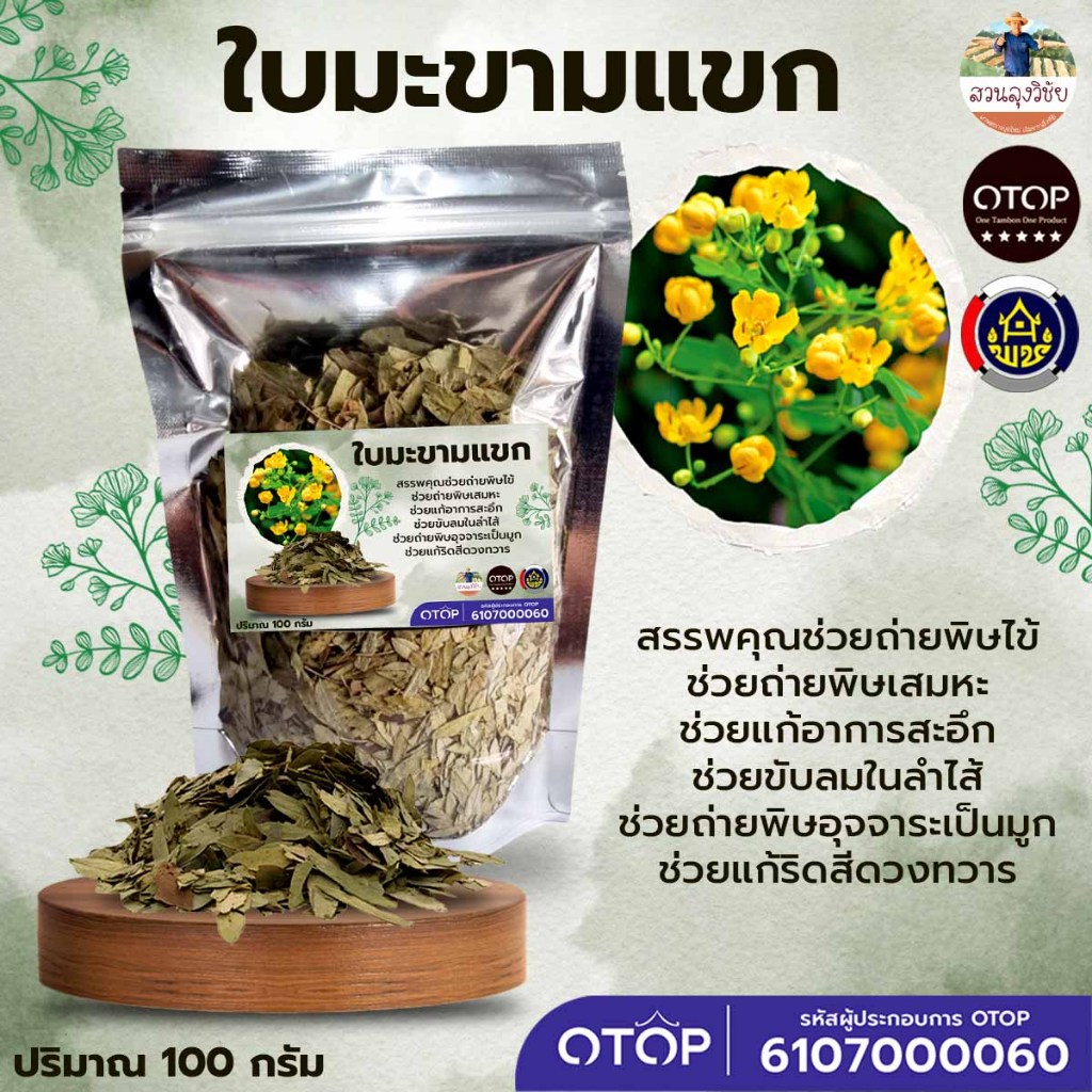 ใบมะขามแขก Senna Leaf สมุนไพร แก้ท้องผูก ช่วยระบาย ปลอดภัย