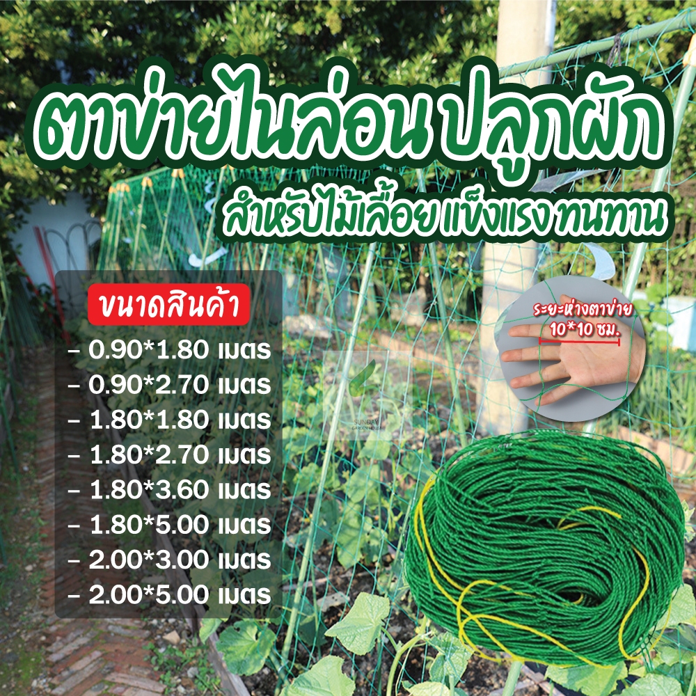 ตาข่ายสำหรับพืชไม้เลื้อย ตาข่ายปลูกผัก ทำค้าง ค้างไม้เลื้อย ข้างกำแพง สวน อื่นๆ