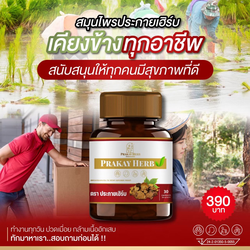 ส่งฟรี✅สมุนไพรตราประกายเฮิร์บ สมุนไพรแก้ปวดเมื่อย ออฟฟิศซินโดรม กระดูกทับเส้น กษัยเส้น สมุนไพรแก้ปวด ปวดเข่า ปวดหลัง