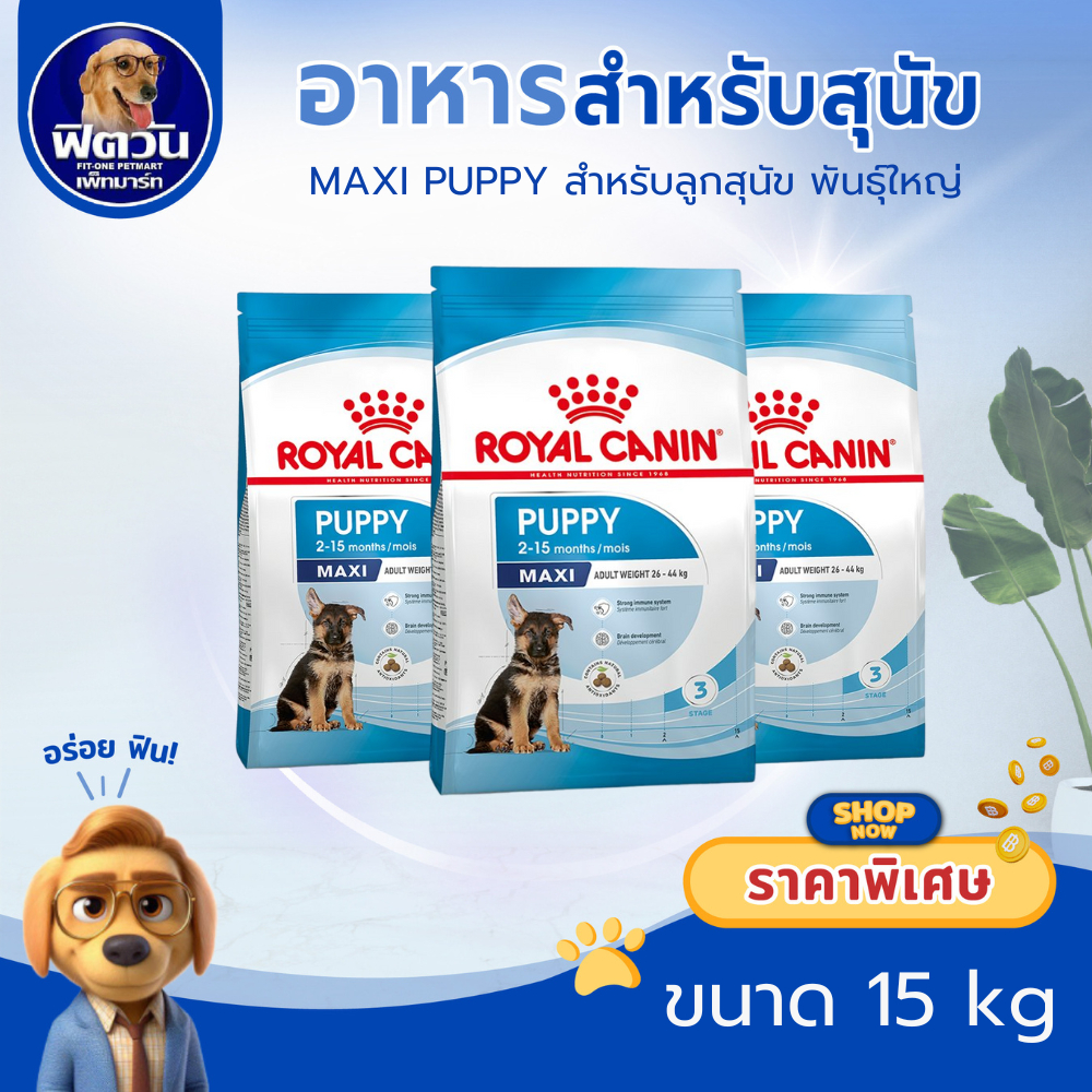 ROYAL CANIN MAXI PUPPY ลูกสุนัขอายุ 2 15 เดือน พันธุ์ใหญ่ 15 กิโลกรัม{อาหารสุนัขเม็ด}