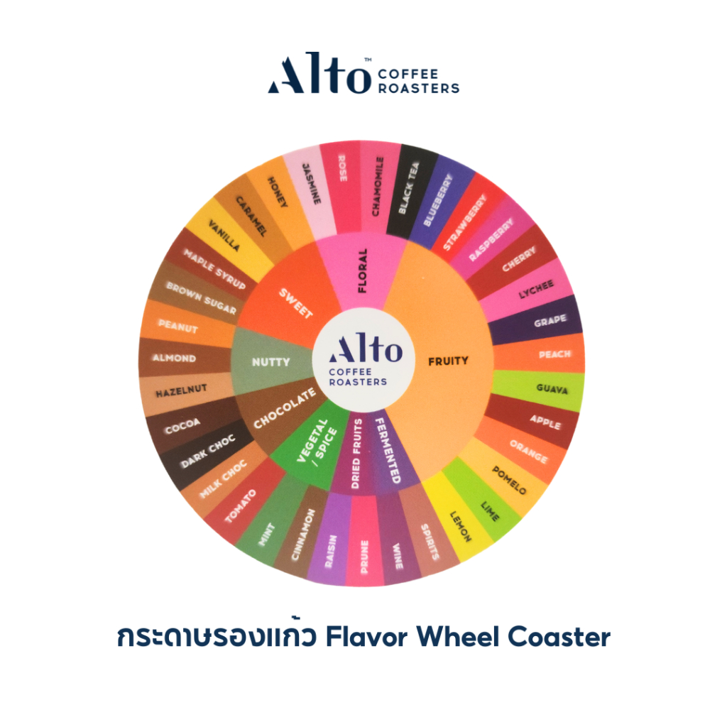 กระดาษรองแก้ว Flavor Wheel Coaster - Alto Coffee Roasters