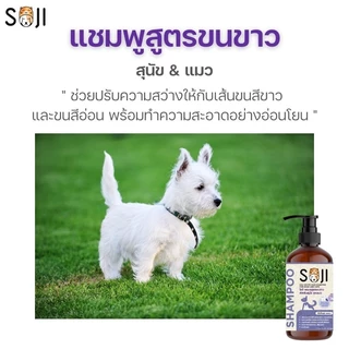 SOJI โซจิ แชมพูสูตรขนขาว สุนัข และแมว ขจัดคราบเหลือง/คราบหมอง ไม่ใช้สารฟอกขาว