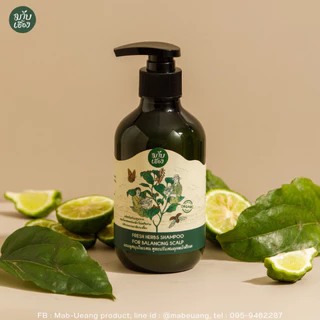 แชมพูสมุนไพรสด สูตรปรับสมดุลหนังศีรษะ ลดผมร่วง (FRESH HERBS SHAMPOO FOR BALANCING SCALP) มาบเอื้อง