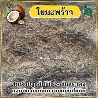 ใยมะพร้าว วัสดุคลุมดินจากธรรมชาติ100% สำหรับรองก้นกระถาง คลุมดิน ช่วยกักเก็บความชุ่มชื้นให้ดิน พร้อมส่ง!!