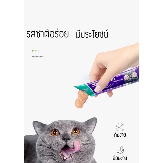 ขนมแมว อาหารกินเล่นเนื้อปลา/ไก่ 10 ซอง บำรุงสุขภาพ thumbnail 6