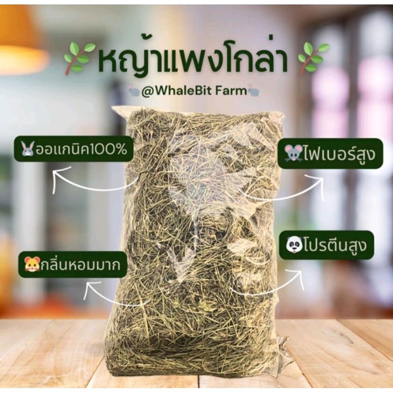 หญ้าแพงโกล่าแห้ง หญ้ากระต่าย 1 กิโลกรัม🐇