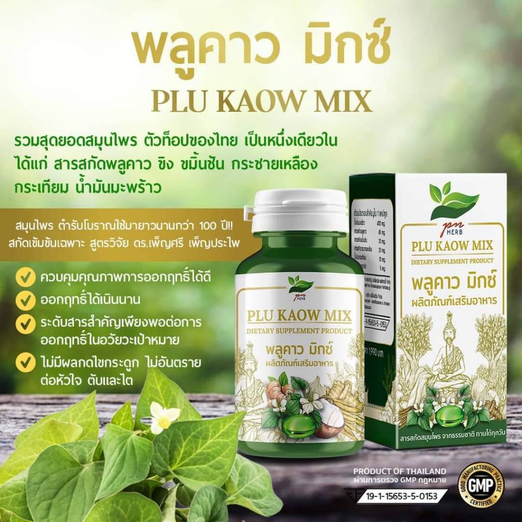 พลูคาว มิกซ์ (Plukaow Mix) สารสกัดพลูคาว ผสม6สมุนไพร สกัดเข้มข้นสูง เพื่อสุขภาพ /1กระปุก มี 60แคปซูล