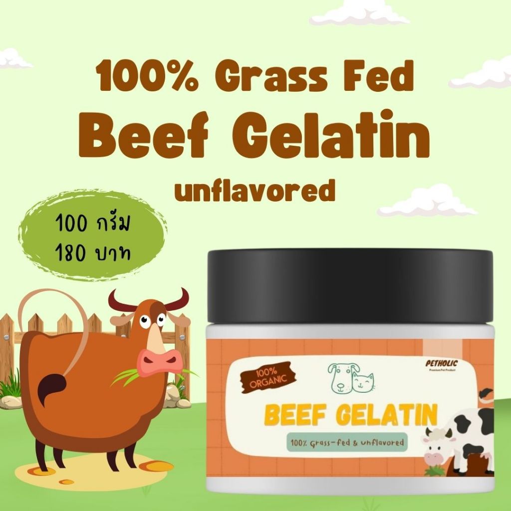 เจลาติน 100% Grass Fed Beef Gelatin Powder สำหรับทำเยลลี่สัตว์เลี้ยง