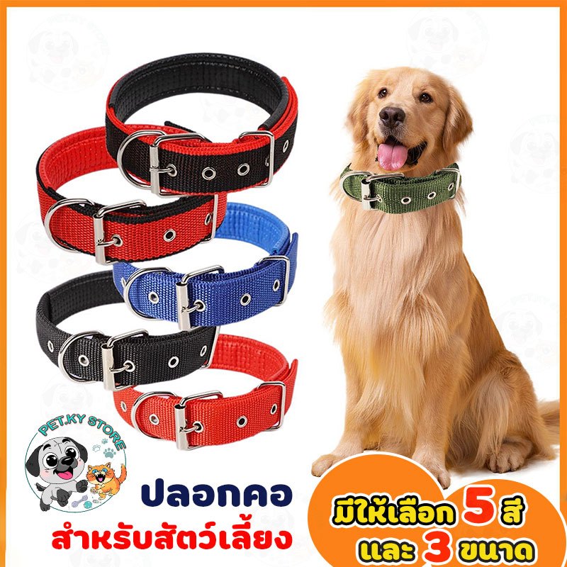 [พร้อมส่งในไทย] ปลอกคอทรงเข็มขัด สำหรับสุนัขพันธุ์ใหญ่ ตัวยึดโลหะ+ผ้าไนลอน มี 5สีให้เลือก พร้อมส่งในไทย++