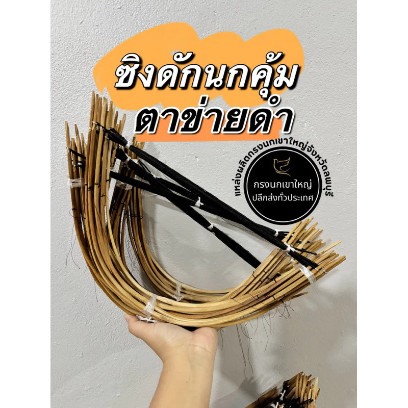 ซิงดักนกคุ้มด้ายดำ ซิงนกคุ้มด้ายดำ ซิงดักนกคุ่มด้ายดำ ซิงนกคุ้มอืด