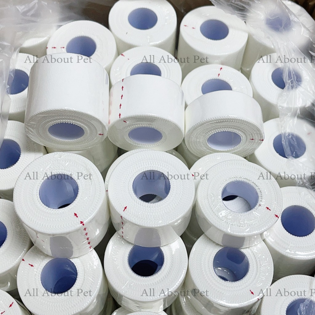 รูปภาพ 4