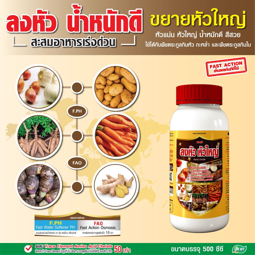 ลงหัว หัวใหญ่ หัวแน่น เพิ่มแป้ง ไม่ทำให้ใบเหลือง น้ำหนักดี ฮอร์โมนพืช สำหรับพืชลงหัว ปุ๋ยยา 500 ซีซี