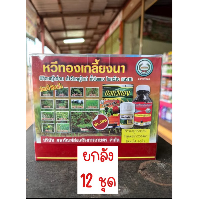 ⭕️ยกลัง 12 ชุด⭕️ เกลี้ยงนาหวีทอง