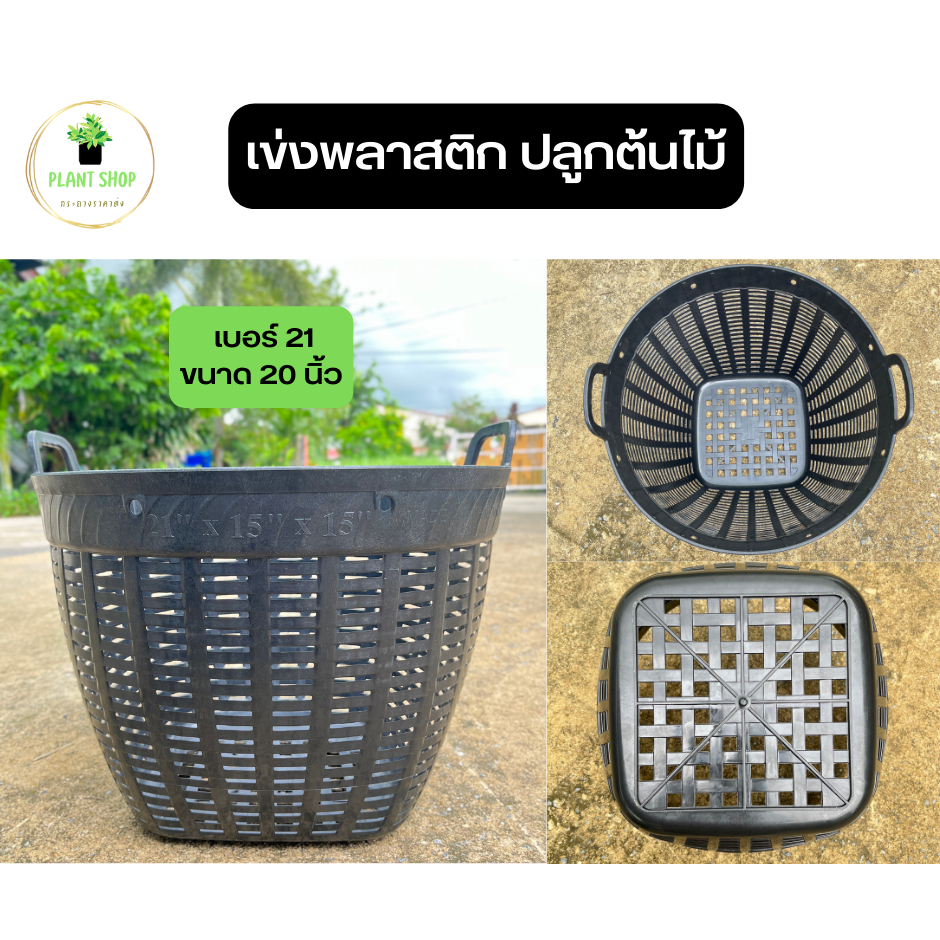 เข่งพลาสติก เข่งปลูกต้นไม้ ขนาด 21 นิ้ว หนา เหนียว ทน