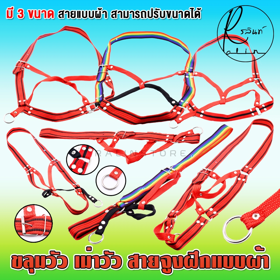 ขลุมวัว เม่าวัว ขลุมจูงวัว สายจูงฝึกวัวควาย แบบผ้า สายหนาทนทาน (มี 3 ขนาด)