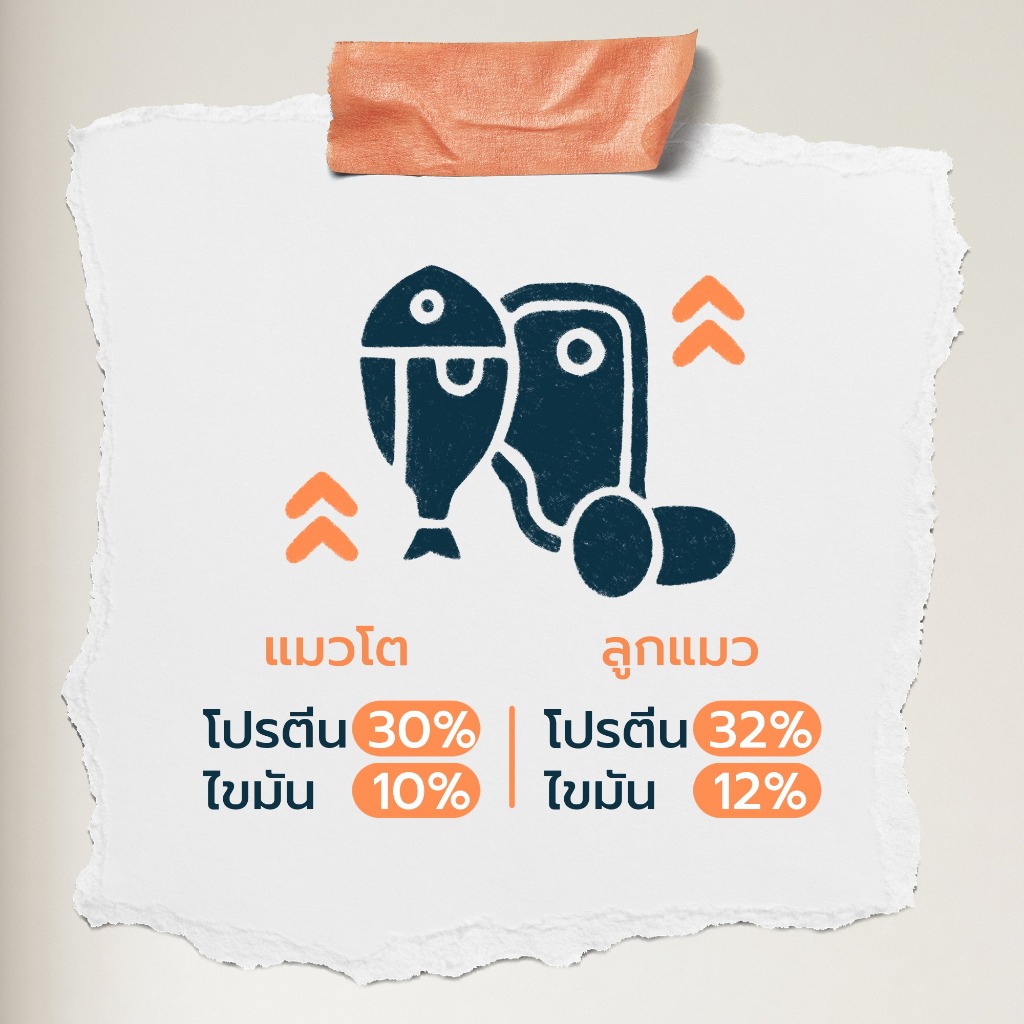 อาหารแมว Buzz Beyond ขนาด 7 กิโลกรัม