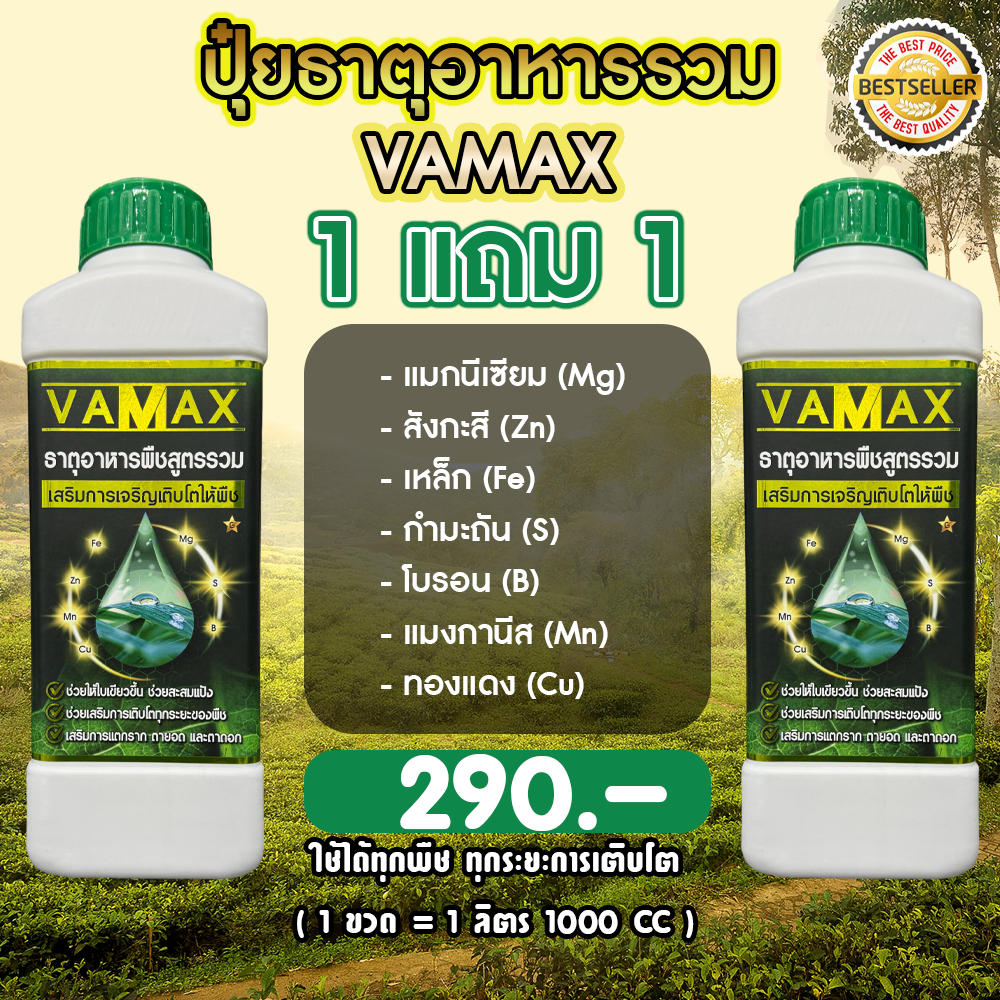 VAMAX (1แถม1) ปุ๋ยธาตุอาหารรวม เร่งการเจริญเติบโตพืชทุกชนิด ใบเขียว แตกยอด แก้ใบซีด แก้ใบด่าง (V2)