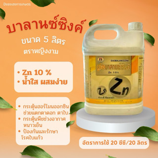 ดูโอบาลานซ์ซิงค์ 5 ลิตร ตราหญิงงาม Zn10% ป้องกันและรักษาโรคใ…