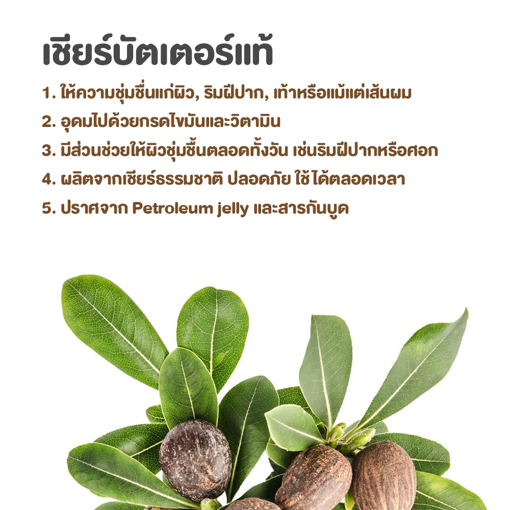 เชียบัตเตอร์ 30% ลิปบาล์ม (Shea butter 30% lip balm) ลิปบาล์ม ลิป ลดอาการปากแห้งลอก เพิ่มความชุ่มชื้น ขนาด 50ml. - รูปที่ 2