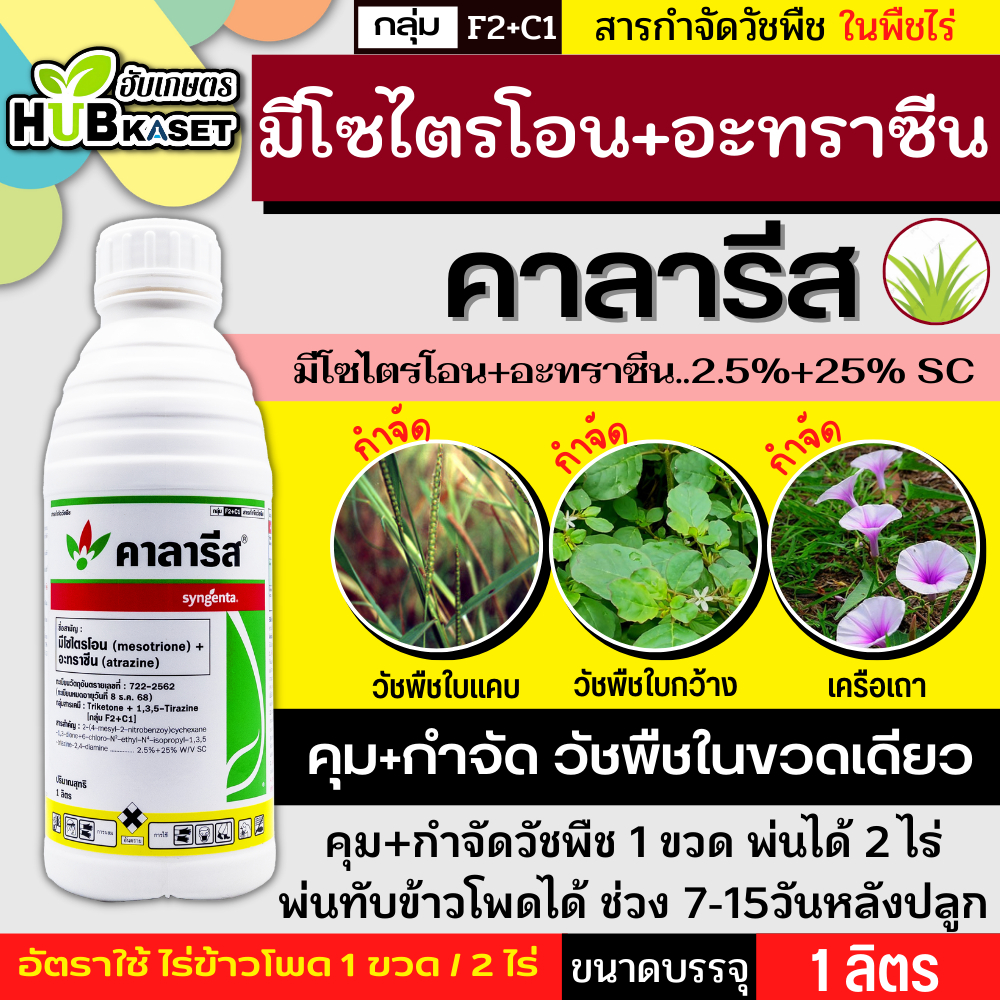 คาลารีส 1ลิตร (มีโซไตรโอน+อะทราซีน) สารกำจัดวัชพืชใบแคบและใบกว้าง เช่น หญ้าตีนกา หญ้านกสีชมพู หญ้าดอกขาว หญ้ายาง