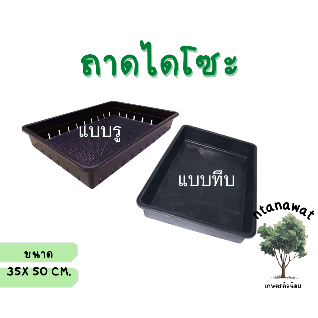 ถาดไดโซะ ขนาดใหญ่  เพาะเมล็ด แคคตัส เพาะกล้า อเนกประสงค์ **สั่งขั้นตํ่า 3 ใบ**