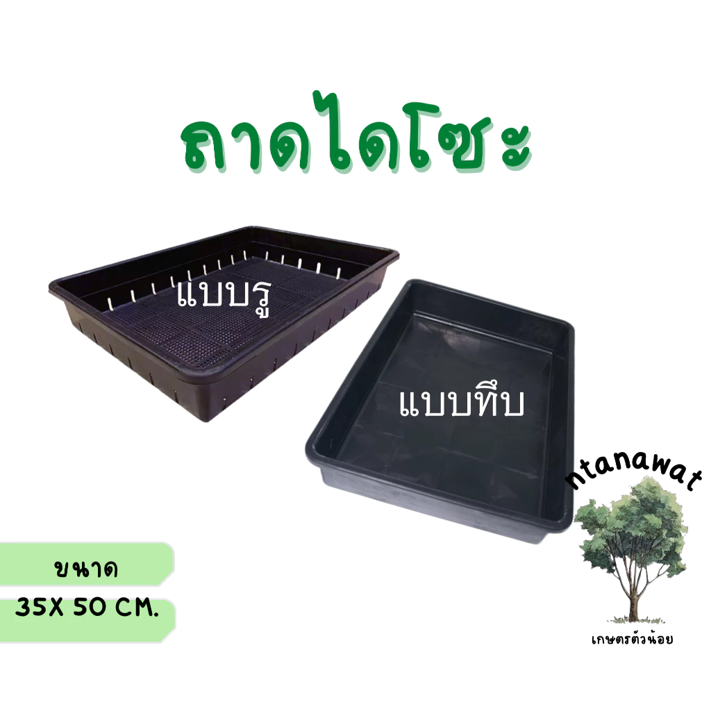 ถาดไดโซะ ขนาดใหญ่ เพาะเมล็ด แคคตัส เพาะกล้า อเนกประสงค์ **สั่งขั้นตํ่า 3 ใบ**