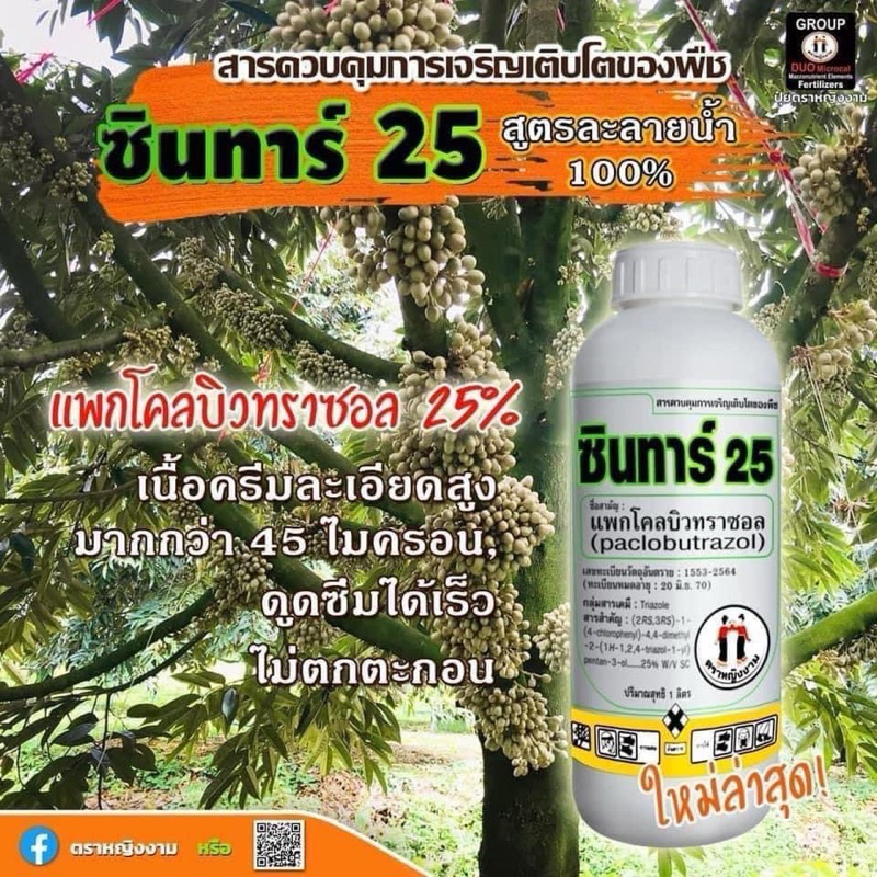 ซินทาร์ 25 ตราหญิงงาม เนื้อครีมละเอียดสูงมากกว่า 45 ไมครอน ควบคุมการเจริญเติบโตของพืช