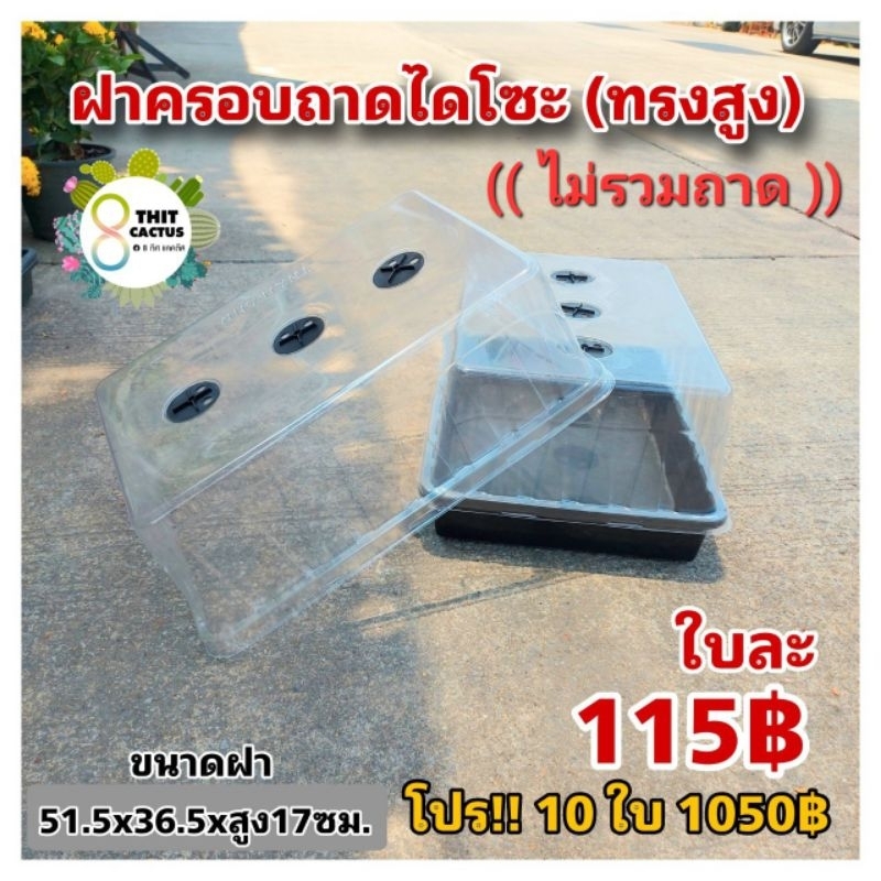 ฝาครอบถาดไดโซะ (ทรงสูง) รุ่นใหญ่ !!!ไม่รวมถาด!!! // กด 10 ใบ 1050฿--ฝาอบ ฝามีวาว ฝาครอบถาด เพาะเมล็ด แคคตัส กระบองเพชร