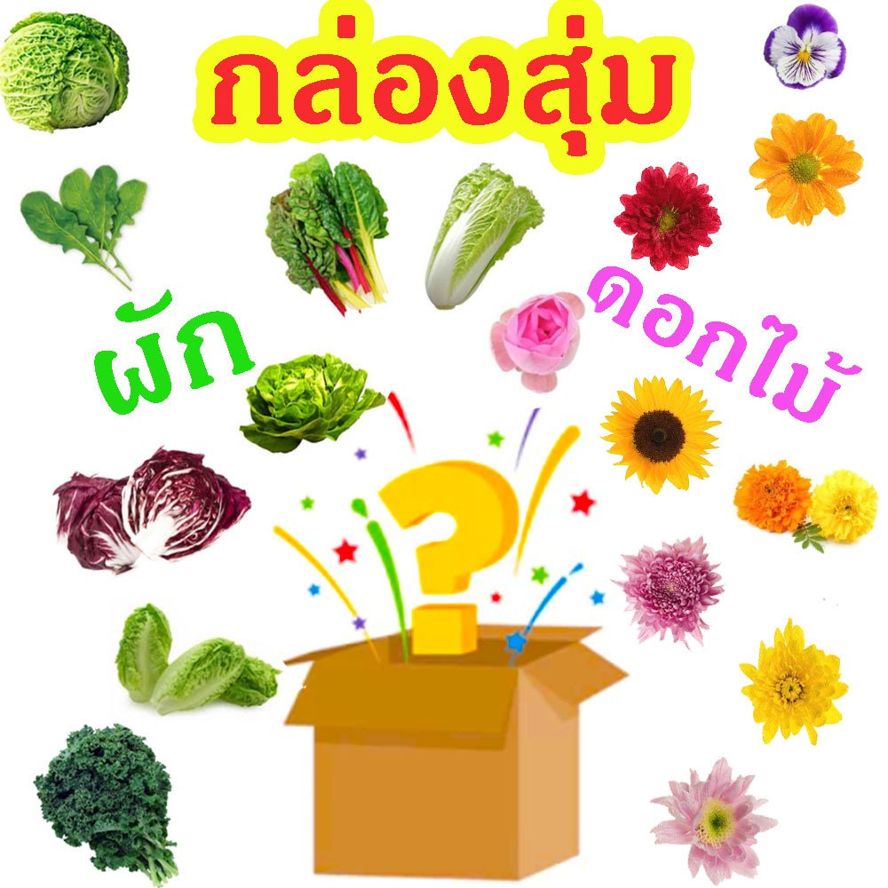 กล่องสุ่มผักสลัด ดอกไม้📌2 ถุง🎯ถูกที่สุด10บ.🎯กลองสุ่ม🌿ส่งเร็ว🌿ถูกใจ🌿ได้ลุ้น