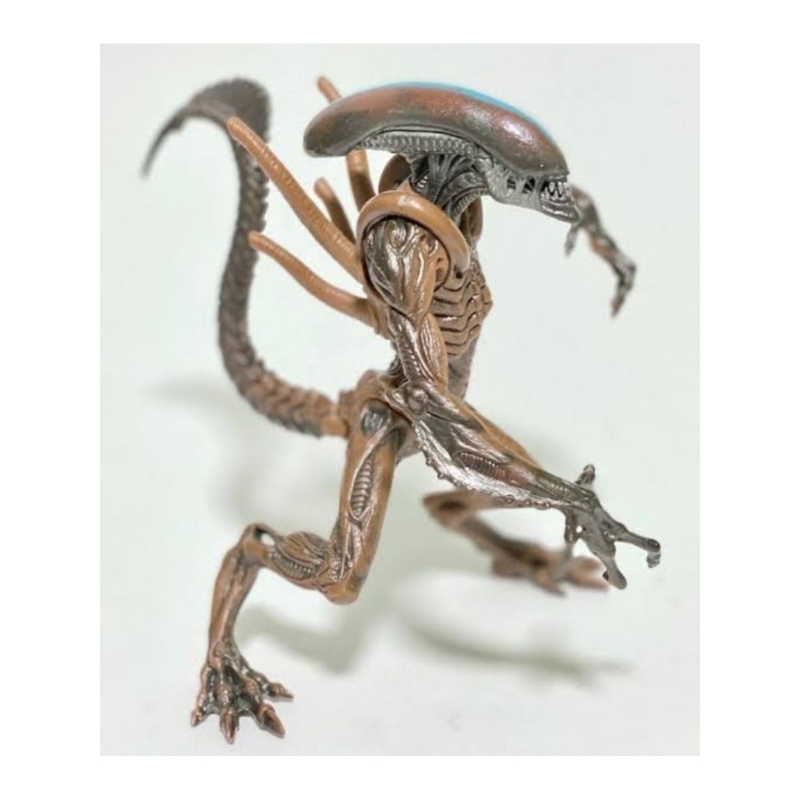 Hasbro Alien Resurrection.
warrior alien
.
drone to the alien queen