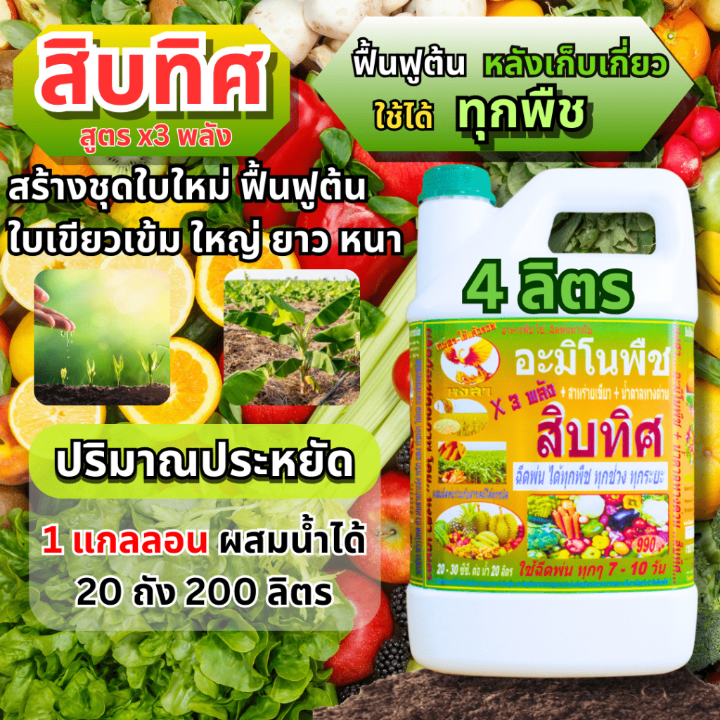 สิบทิศ 4 ลิตร ฉีดพ่นทางใบ ฟื้นฟูต้น บำรุงต้น เตรียมต้น สร้างยอด สร้างใบ ล้างสาร เร่งราก อาหารพืช